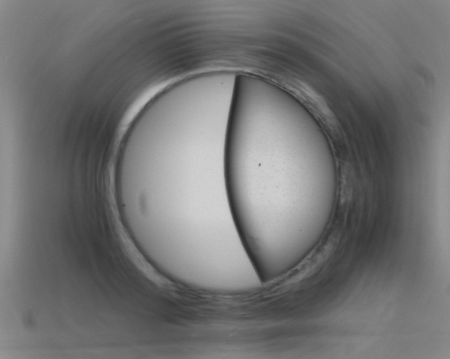X0000115820796200911131105