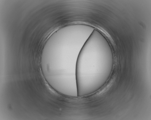 X0000115820801200911131105
