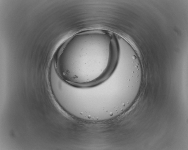 X0000115820805200911131105
