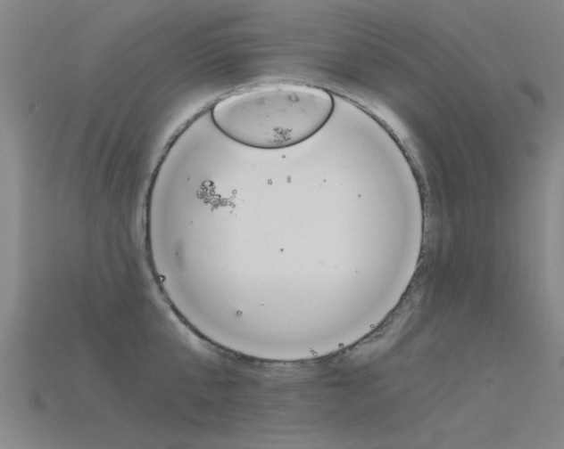 X0000115820807200911131105