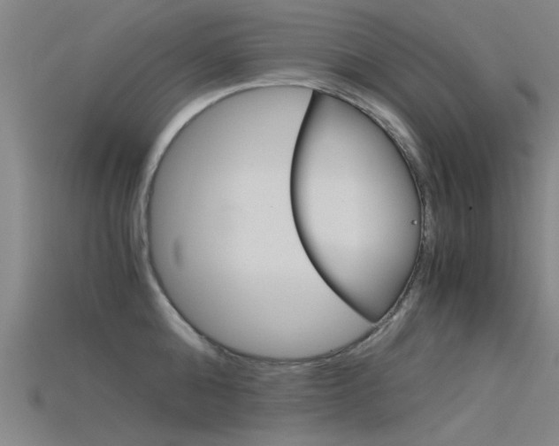 X0000115820808200911131105