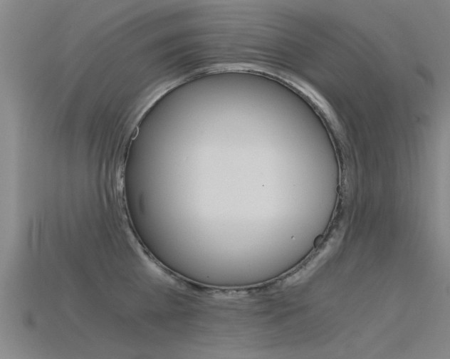 X0000115820809200911131105