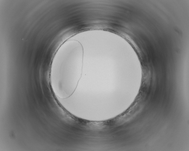 X0000115820810200911131105