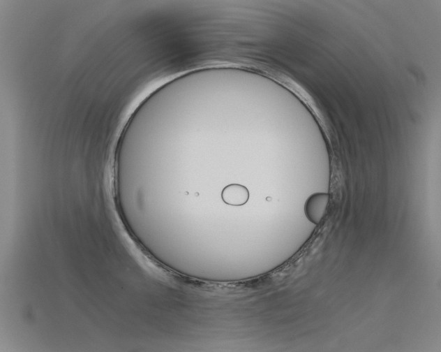 X0000115820811200911131105