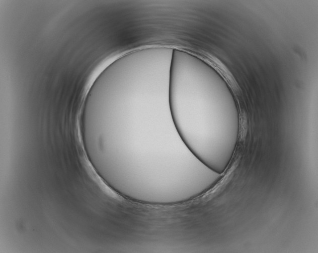 X0000115820812200911131105