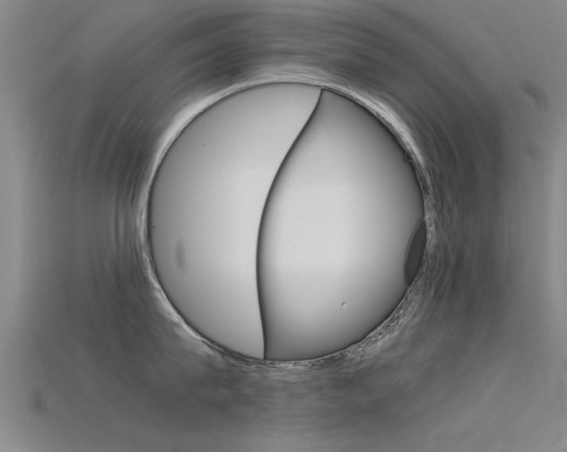 X0000115820815200911131105
