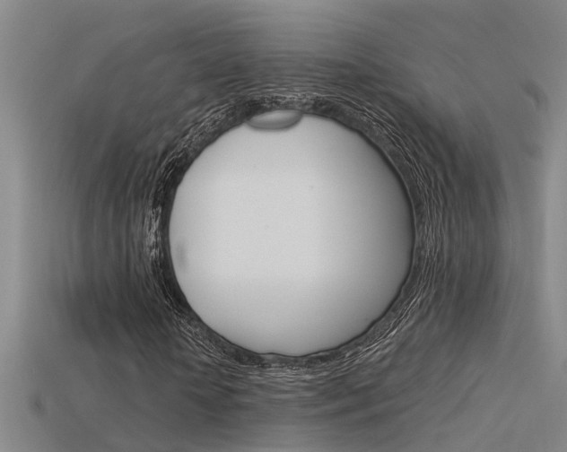 X0000115820818200911131104