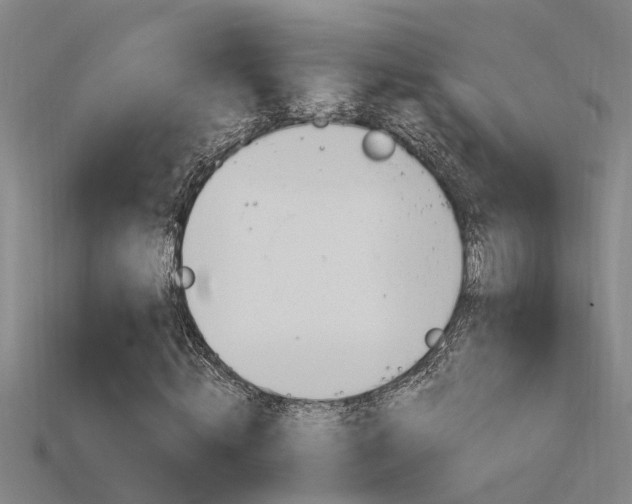 X0000115820820200911131104