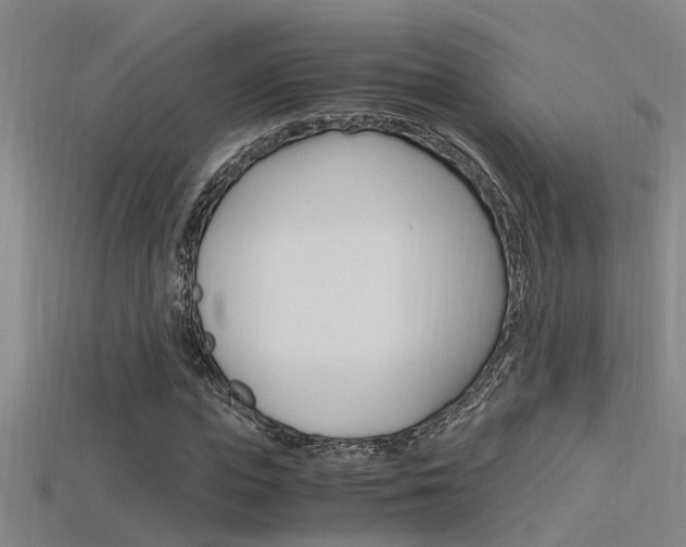 X0000115820823200911131104