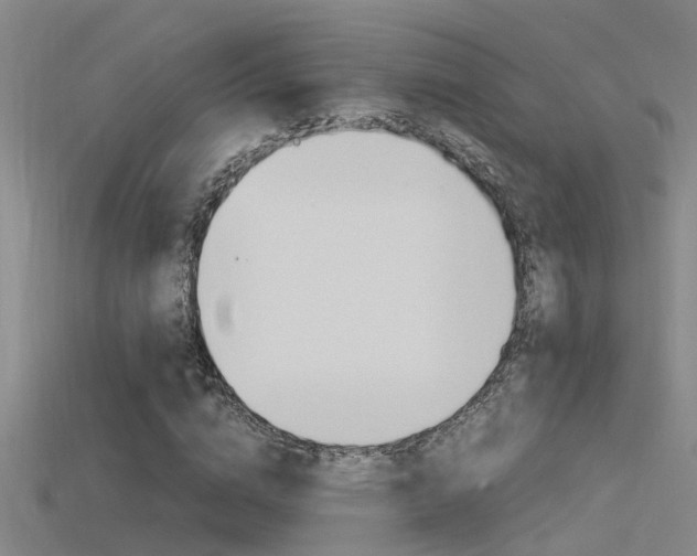 X0000115820824200911131104
