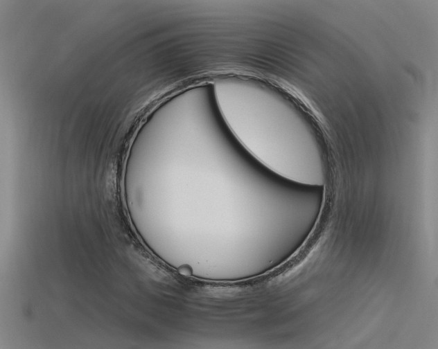 X0000115820825200911131104