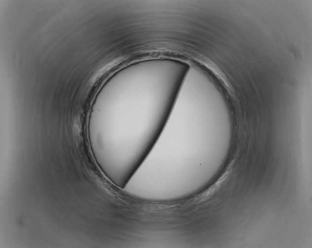X0000115820826200911131104