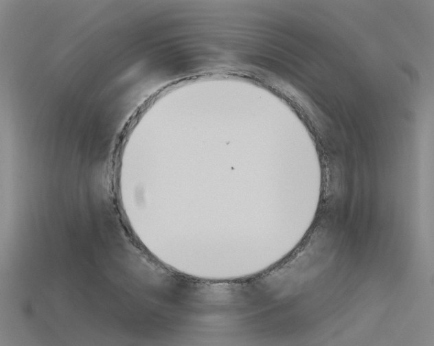 X0000115820828200911131104