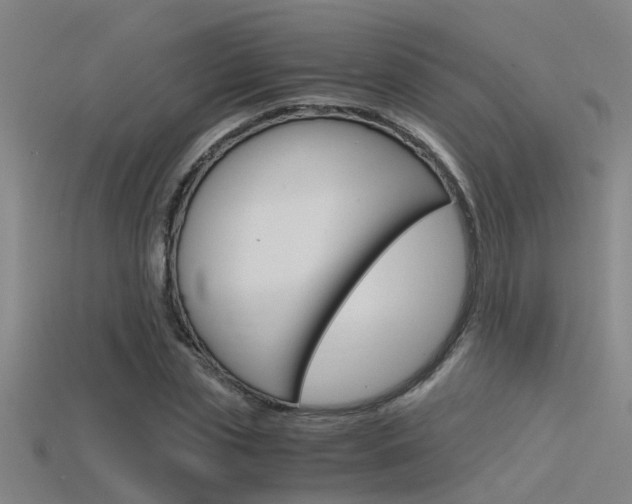 X0000115820829200911131104
