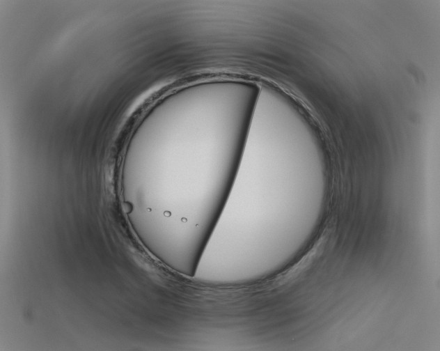 X0000115820830200911131104