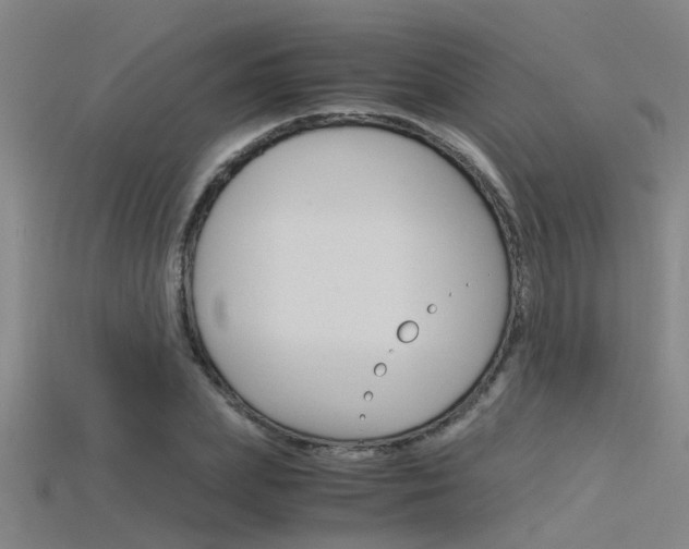 X0000115820831200911131104
