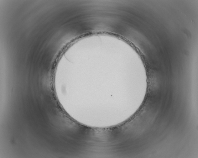 X0000115820832200911131104