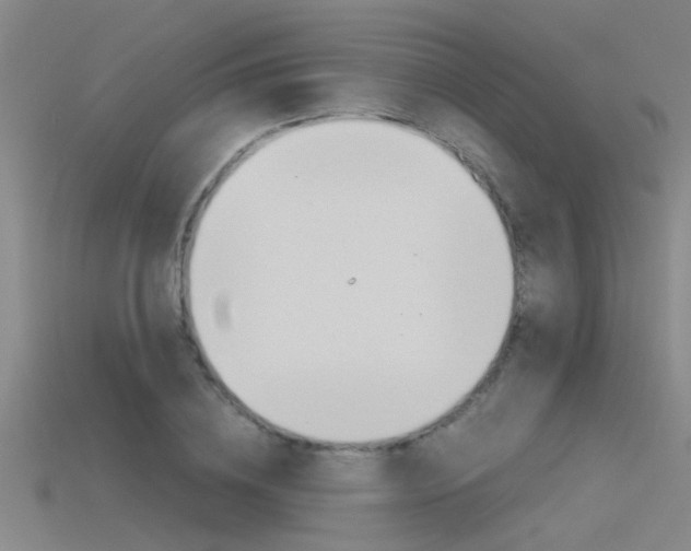 X0000115820836200911131104