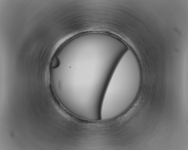 X0000115820838200911131104