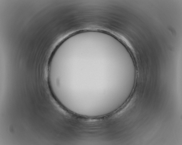 X0000115820839200911131104