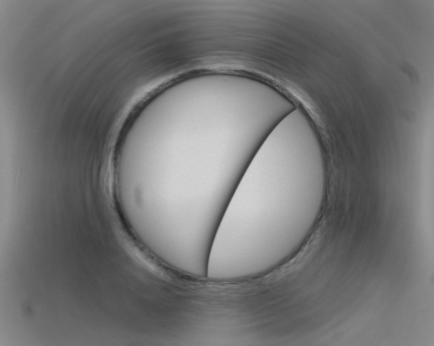 X0000115820840200911131104