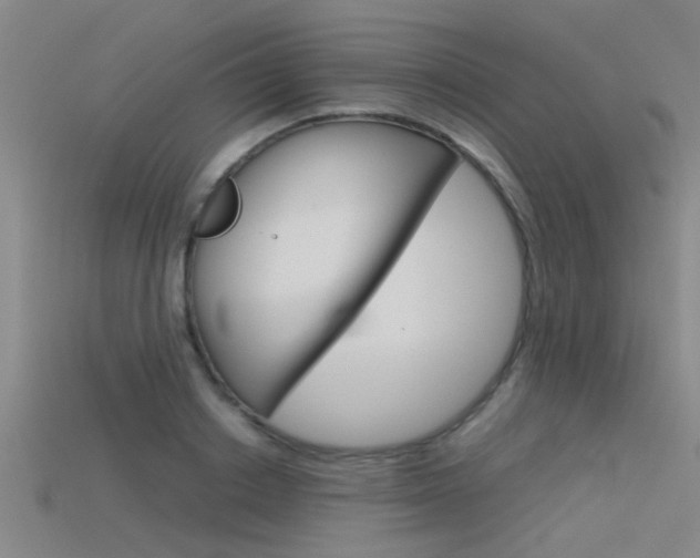 X0000115820842200911131104