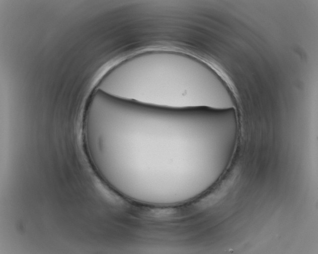 X0000115820845200911131104