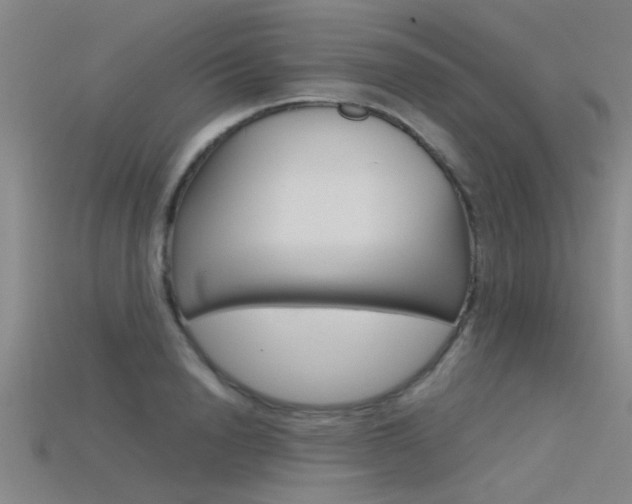 X0000115820846200911131104