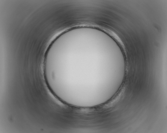 X0000115820847200911131104