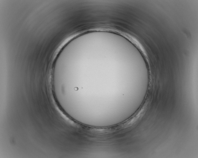X0000115820855200911131105