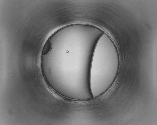 X0000115820862200911131105