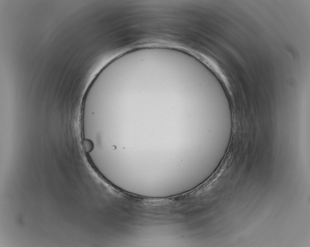 X0000115820863200911131105