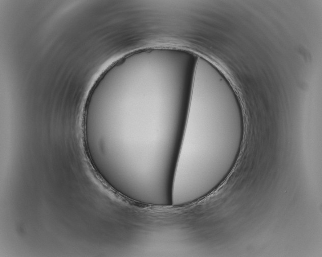 X0000115820864200911131105