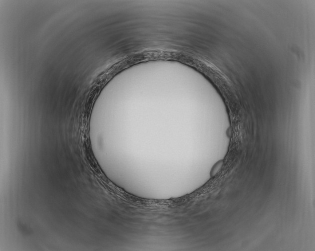 X0000115820870200911131104