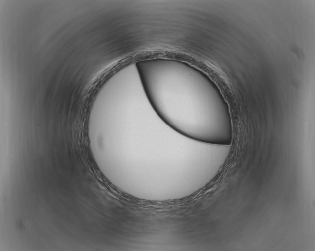 X0000115820872200911131104