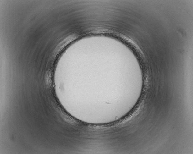 X0000115820873200911131104