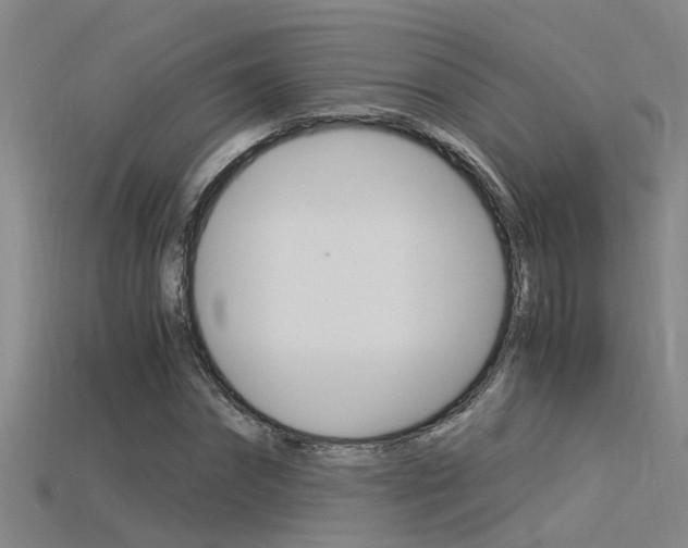 X0000115820874200911131104