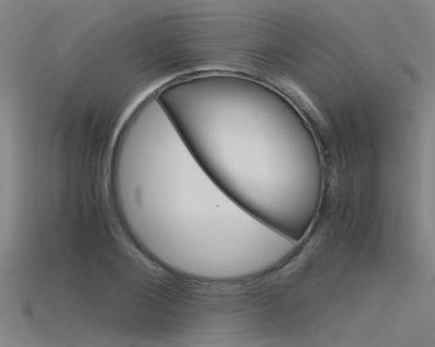 X0000115820884200911131104