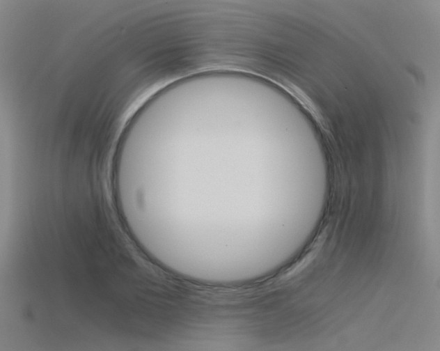 X0000115820885200911131104