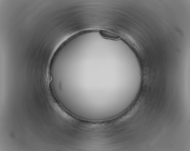 X0000115820892200911131103