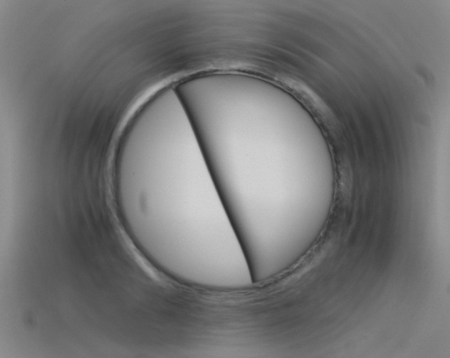 X0000115820894200911131103