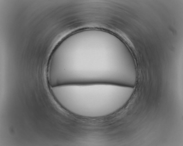 X0000115820895200911131103