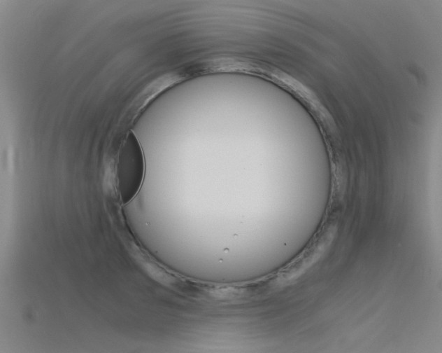 X0000115820897200911131103