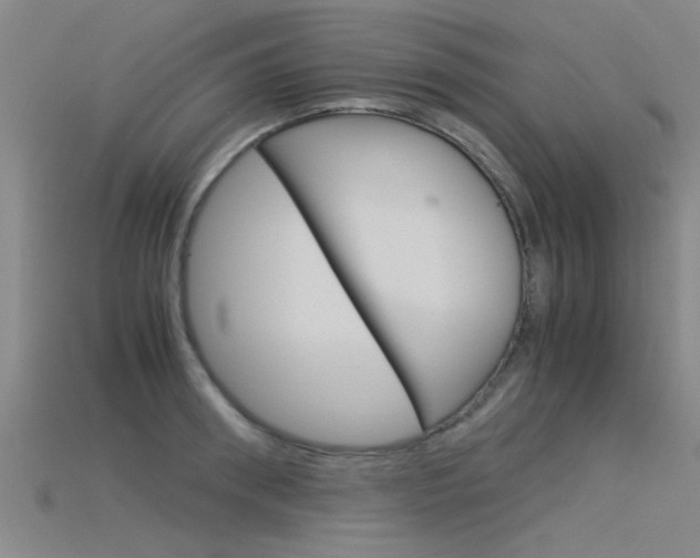 X0000115820898200911131103