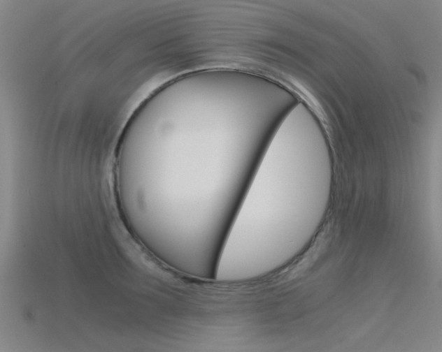 X0000115820899200911131103