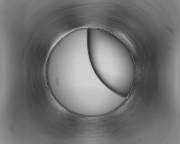 X0000115820900200911131103