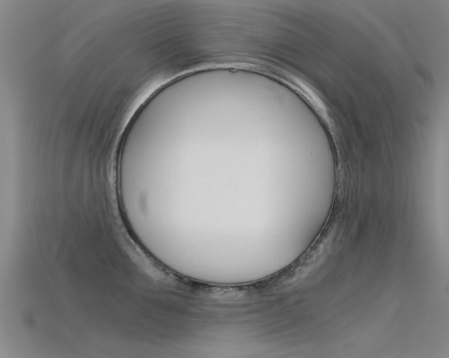 X0000115820907200911131103