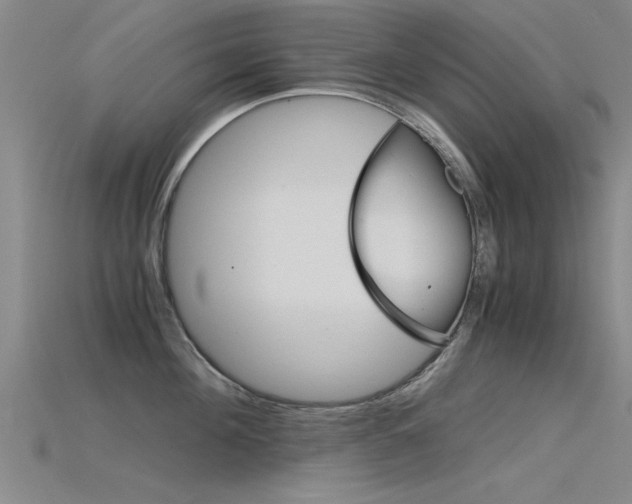 X0000115820908200911131103