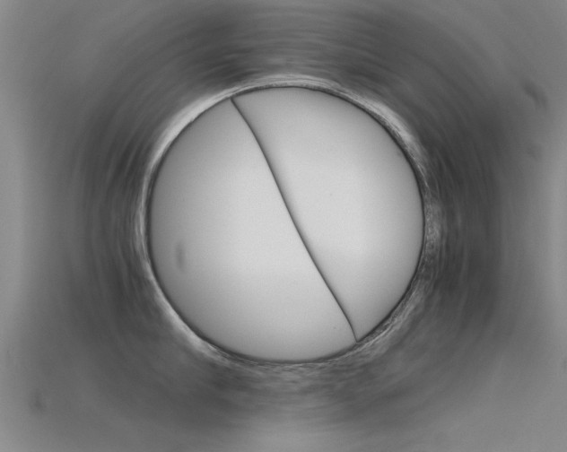 X0000115820910200911131103
