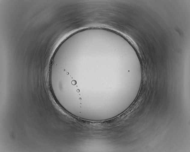 X0000115820911200911131103